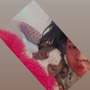 Meet your Posher, Angie